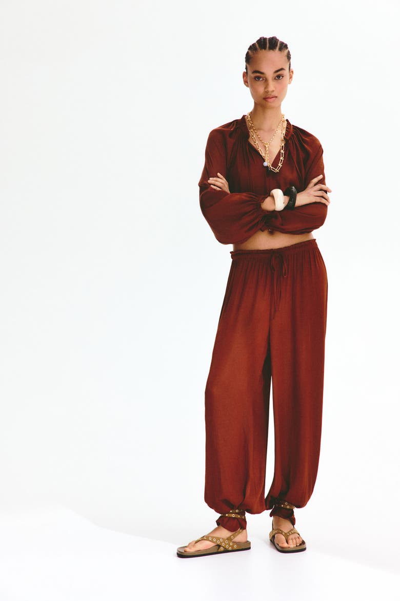 Balloon-sleeved Blouse, Alternate, color, Rust brown