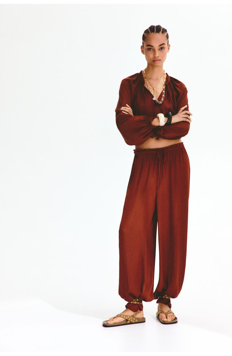 H&M Balloon-sleeved Blouse, Alternate, color, Dark Brown