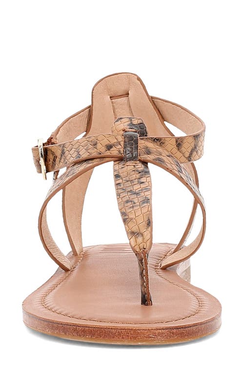 Frye Taylor Snake Print Ankle Strap Sandal In Brown Multi