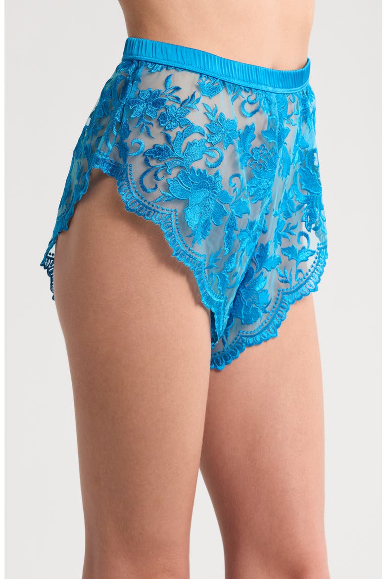 Embroidered Mesh Tap Boyshorts, Alternate, color, BLUE