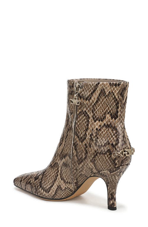 Circus Ny By Sam Edelman Laura Snakeskin Embossed Snip Toe Bootie In Multi