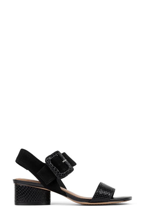 DONALD PLINER DONALD PLINER OVERSIZE BUCKLE SLINGBACK SANDAL 
