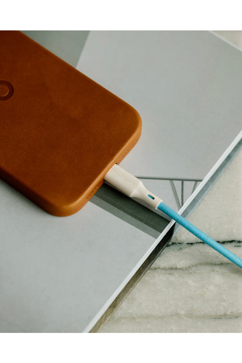 The Companion USB-C to Lightning 4FT Charging Cable, Alternate, color, Blue