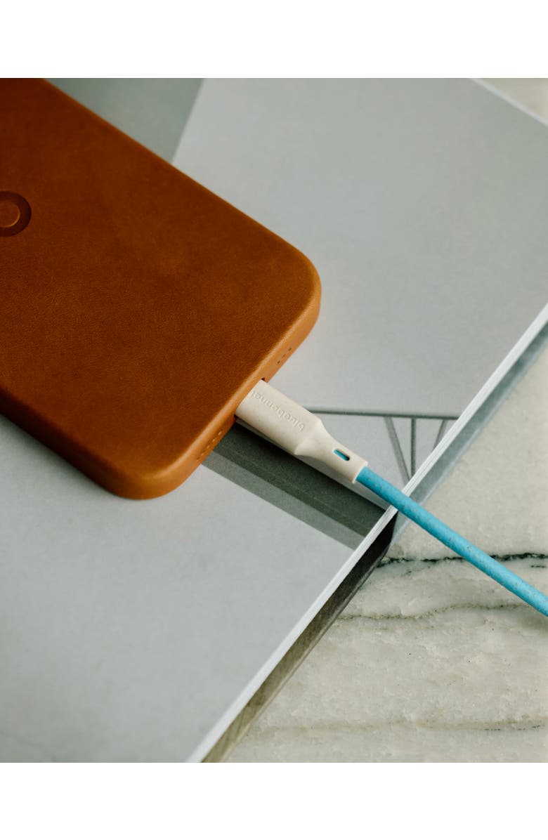 Bluebonnet The Companion USB-C to Lightning 4FT Charging Cable, Alternate, color, Blue