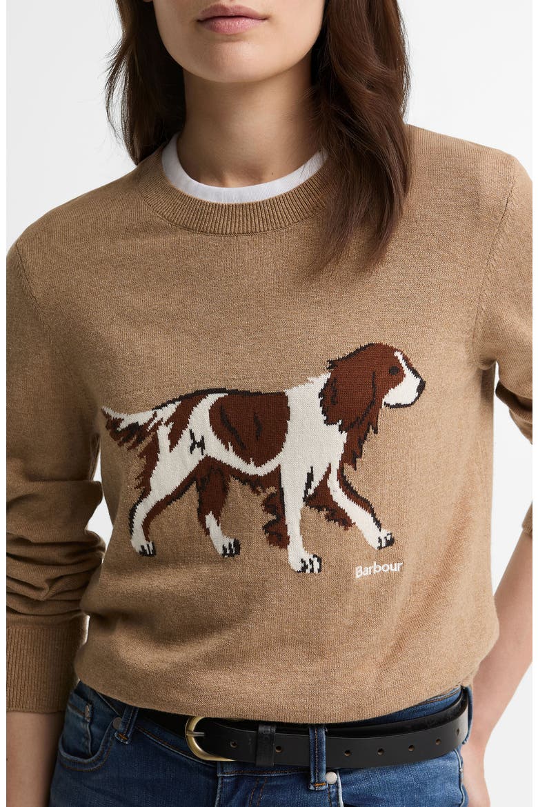 Fareham Knitted Sweater, Alternate, color, WARM TRENCH