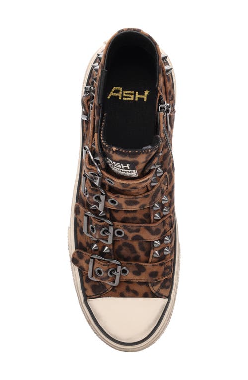 Ash Rainbow Studs High Top Platform Sneaker In Brown