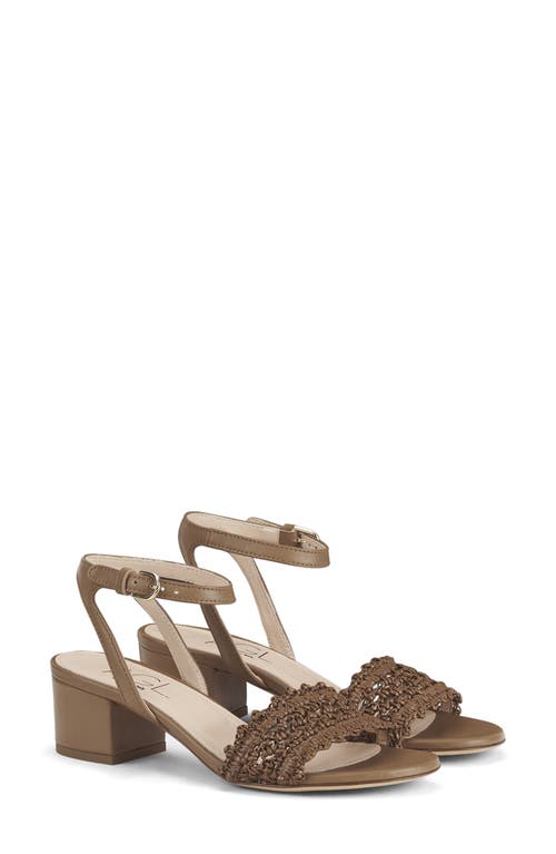 Agl Attilio Giusti Leombruni Agl Lala Ankle Strap Sandal In Cocoa-cocoa