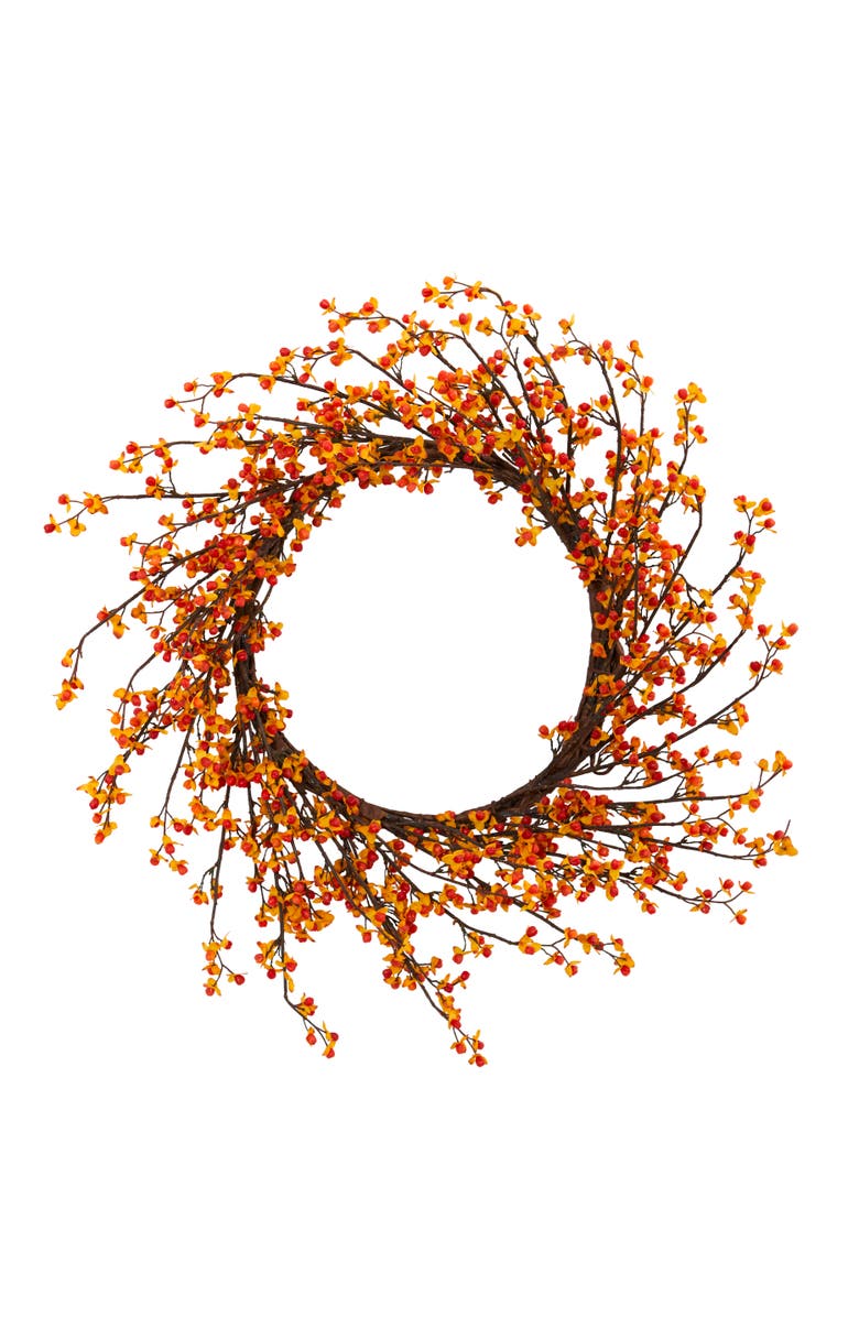 NEARLY NATURAL 24-in Sweet Bitter Wreath, Main, color, Orange