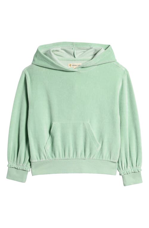 Shop Tucker + Tate Kids' Velour Hoodie In Green Cameo