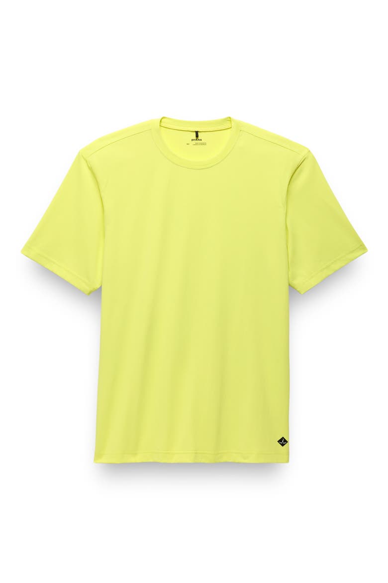 Equalize Crewneck T-Shirt, Alternate, color, GECKO POP