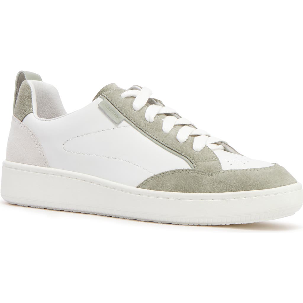Frankie4 Farren Sneaker