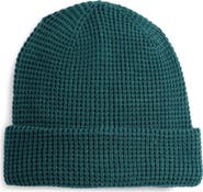 NORDSTROM RACK Waffle Knit Beanie