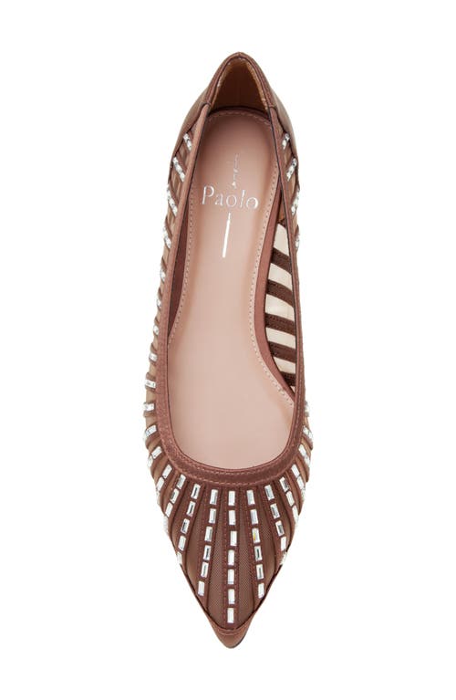Linea Paolo Noelle Pointed Toe Flat In Brown