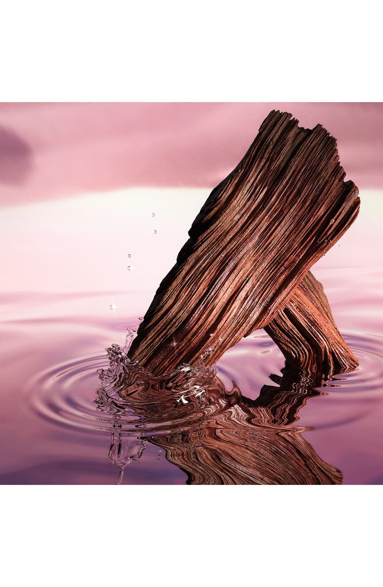 Estée Lauder Luxury Collection Desert Eden Eau de Parfum, Alternate, color,