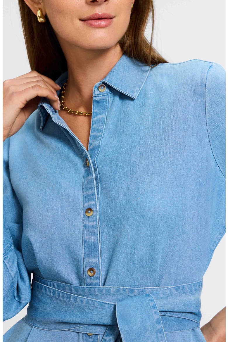 Ivy Long Sleeve Belted Denim Shirtdress, Alternate, color, BLEACH WAS
