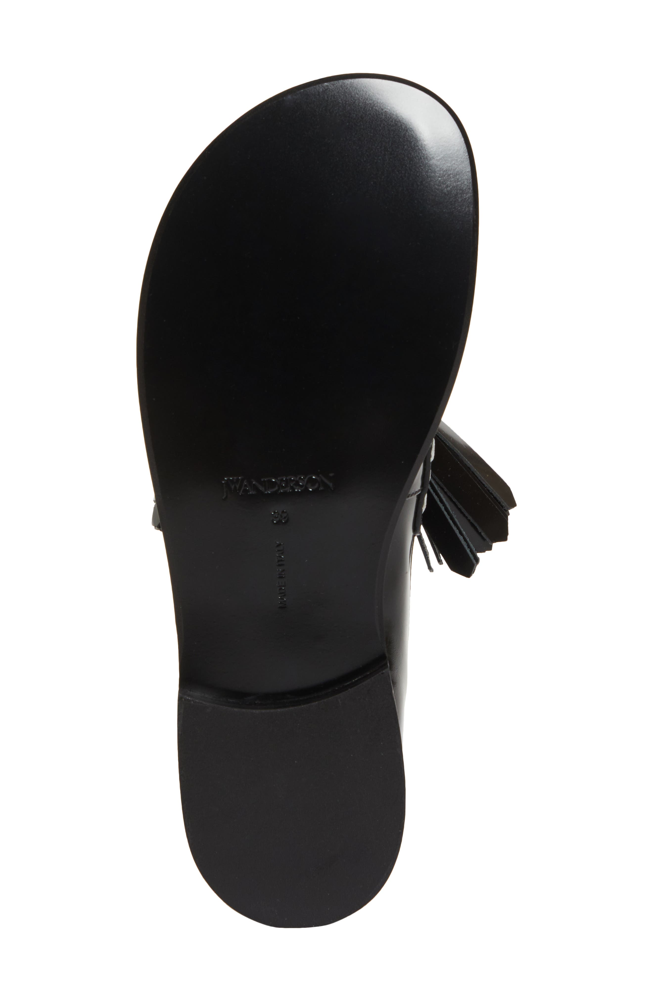 JW Anderson Tassel Loafer, Alternate, color, 