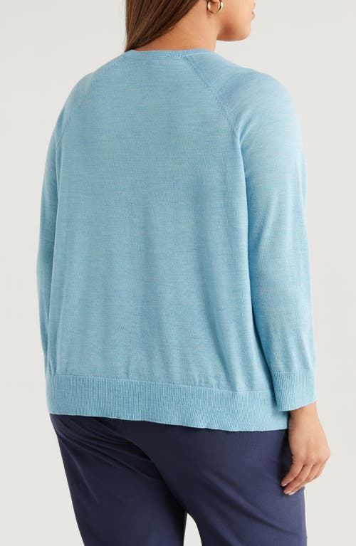 Eileen Fisher Raglan Sleeve Crewneck Merino Wool Sweater In Blue