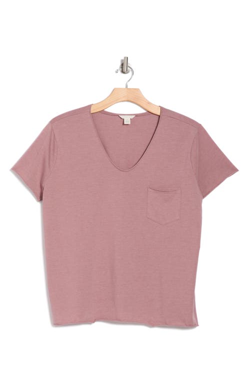 CASLON CASLON® ROLLED BURNOUT TOP