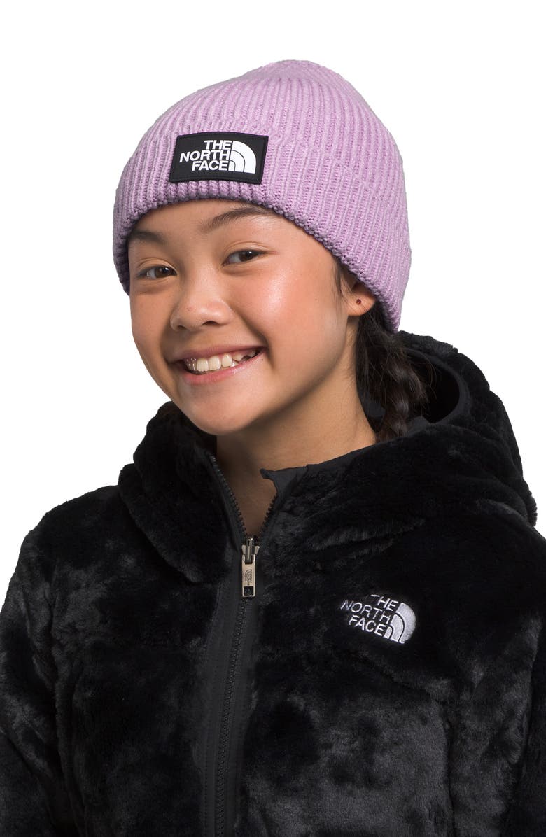 The North Face TNF Box Logo Beanie, Alternate, color,