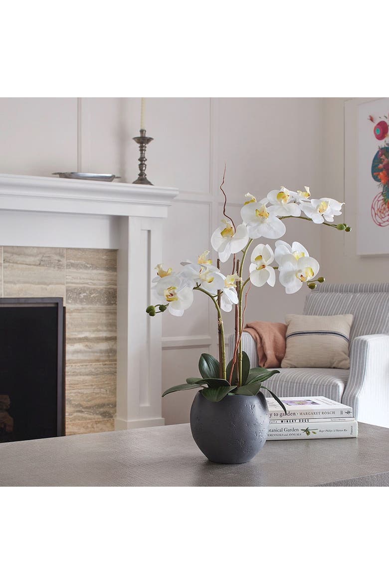 Artificial White Double Stem Orchid, Alternate, color, White and Grey