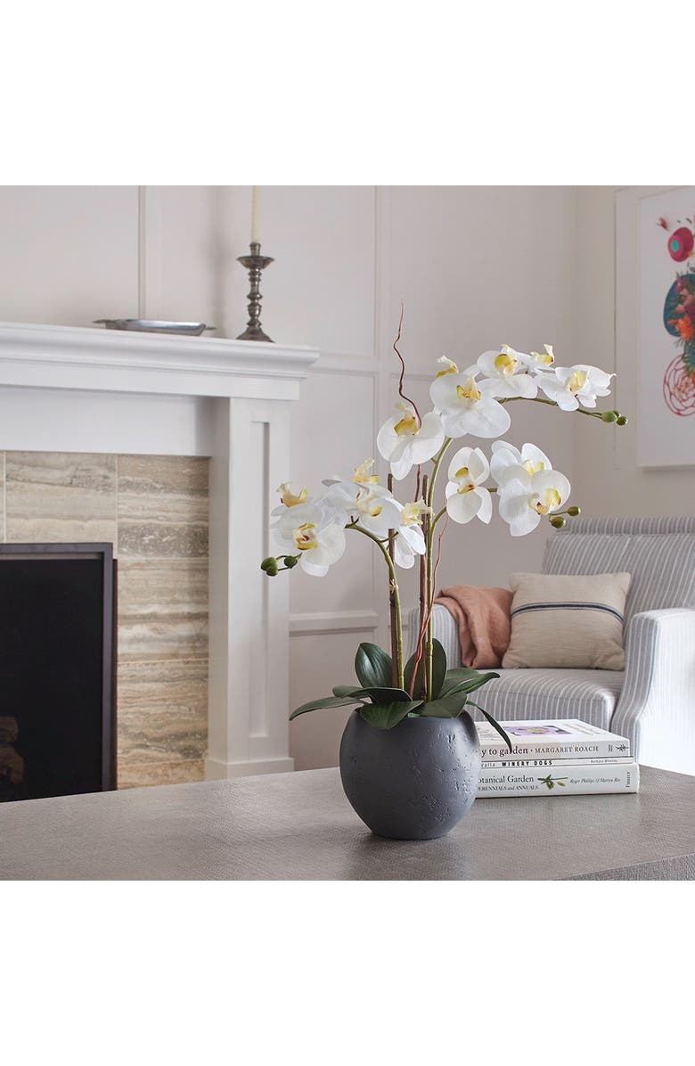 CG Hunter Artificial White Double Stem Orchid, Alternate, color, White And Grey