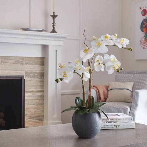 Cg Hunter Artificial White Double Stem Orchid In Multi