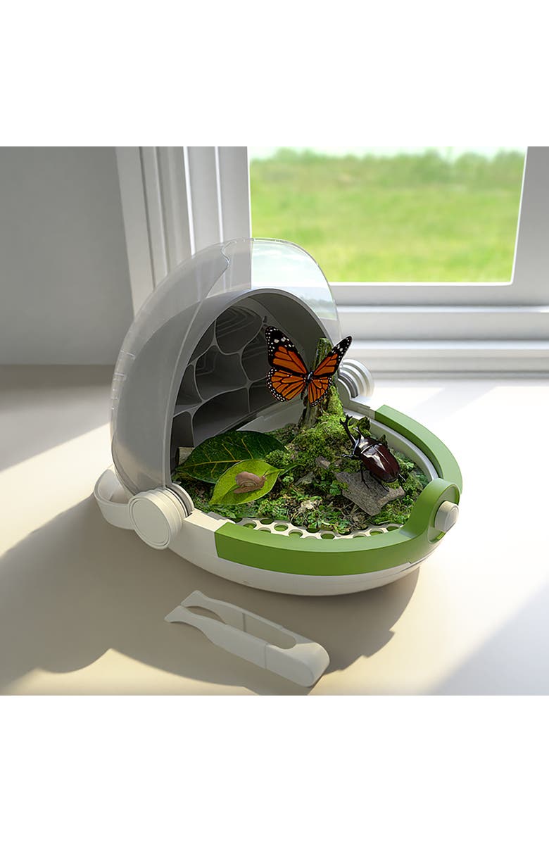 Science Can Insects Growth Station Grow & Observe, 6+, Alternate, color, Multicolored