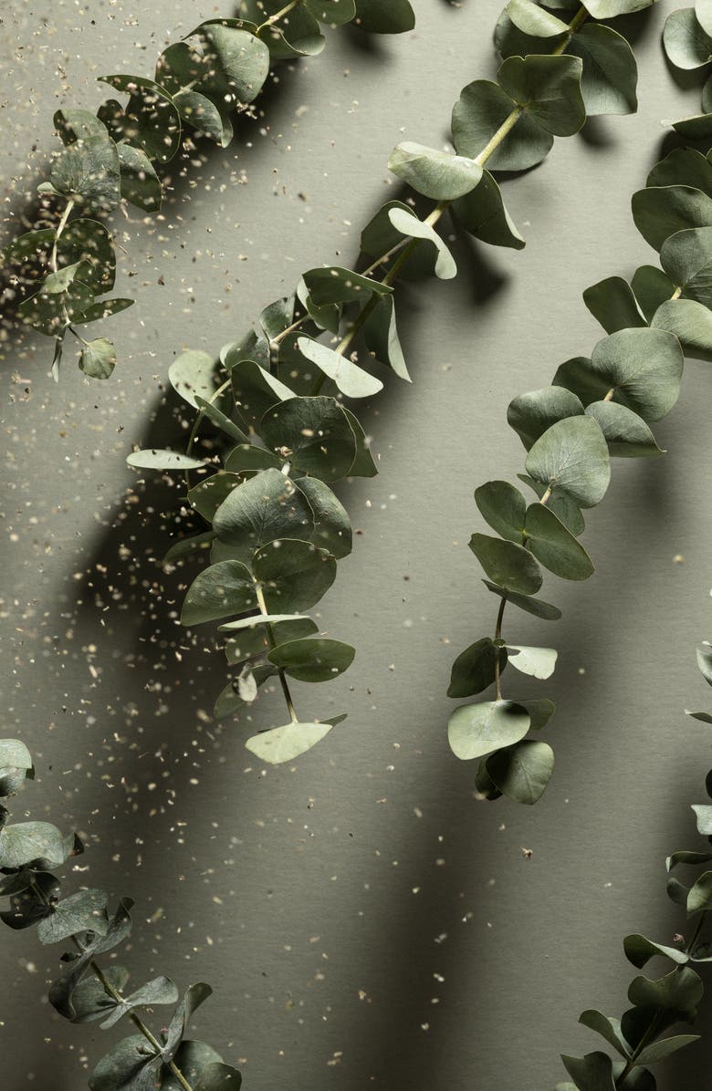 NOSHINKU Refillable Travel Size Nourishing Hand Sanitizer Set, Alternate, color, 