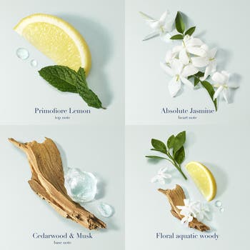 Acqua di Gioia Eau de Parfum Spray