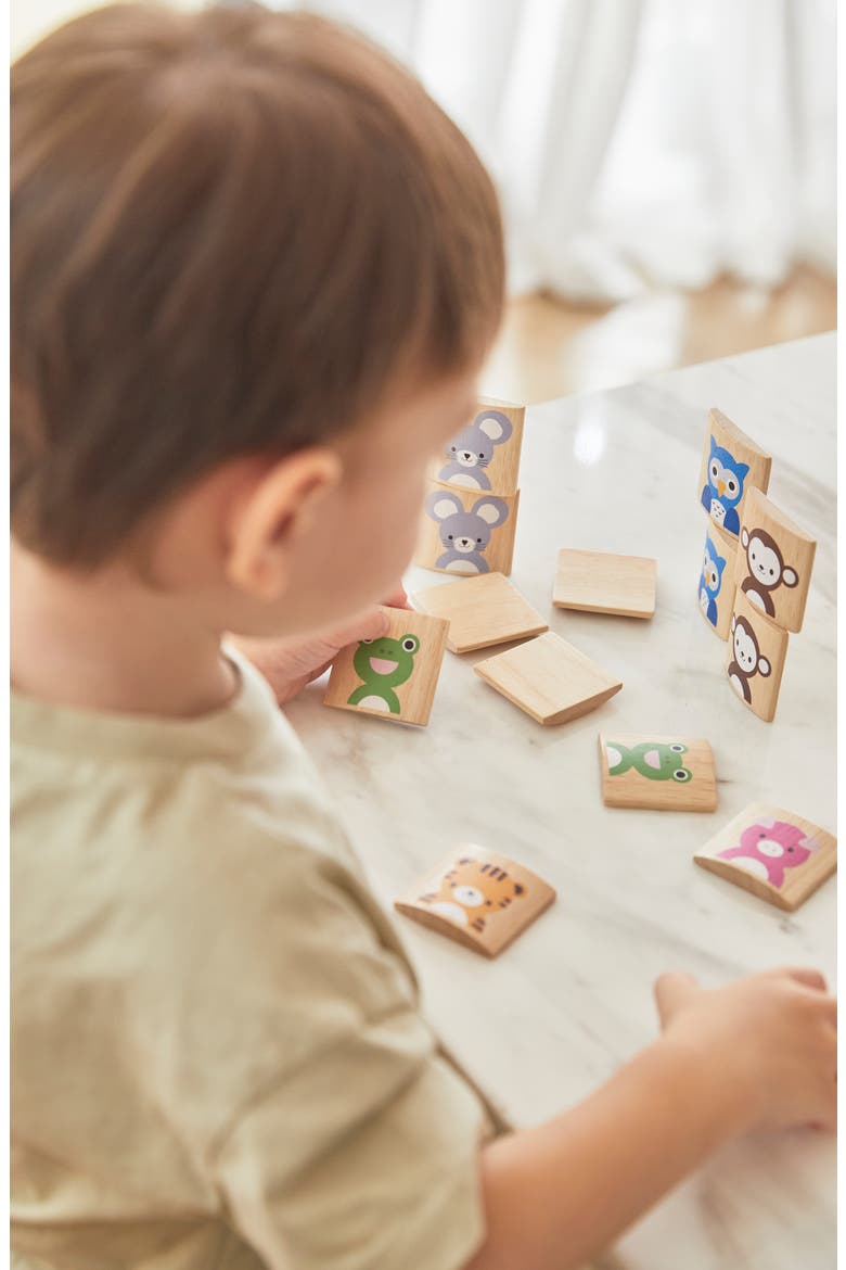 Animals Matching Game, Alternate, color, ASSORTED