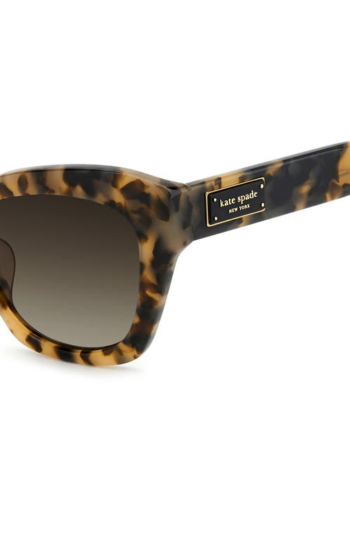 Kate Spade New York Daina 51mm Gradient Cat Eye Sunglasses In Havana/brown Sf