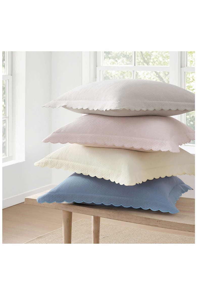 Signature Scallop Set of 2 Euro Pillow Shams, Alternate, color, CHINCHILLA GREY