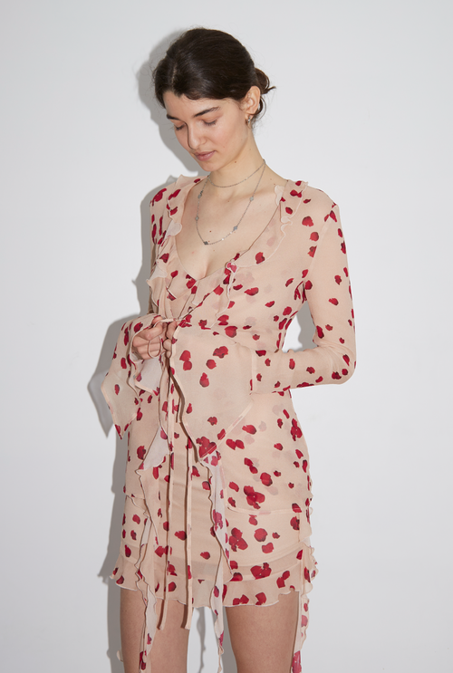 Saemdi Rose Chiffon Top In Nude Rose