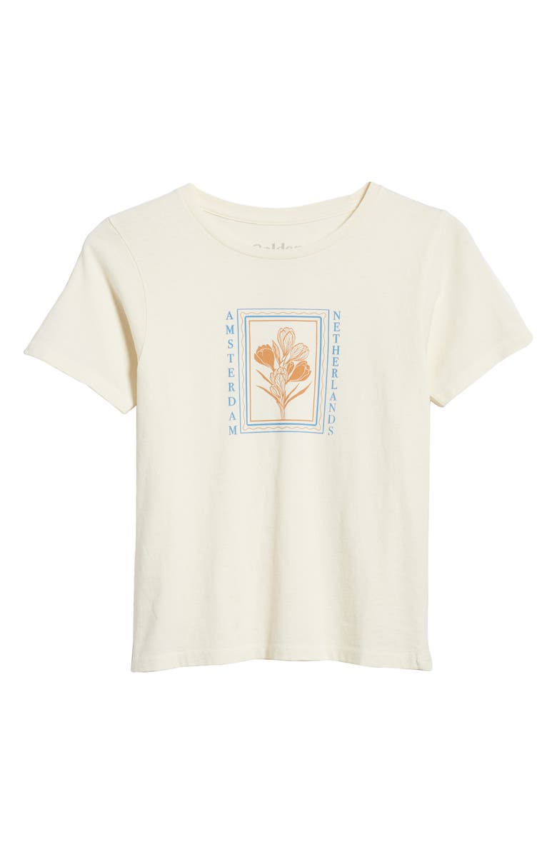 GOLDEN HOUR Amsterdam Graphic T-Shirt, Alternate, color, 