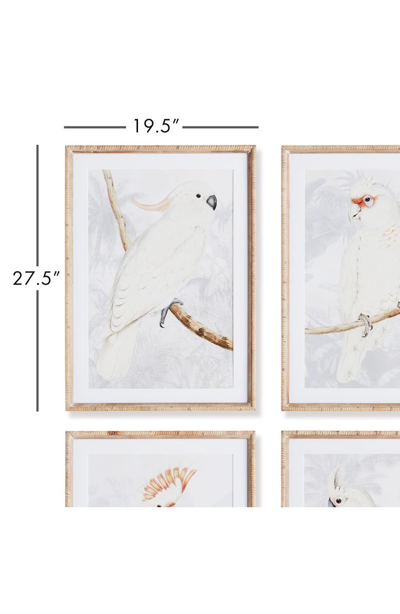 Napa Home & Garden White Cockatoo Prints Framed Wall Art Set of 4, Alternate, color, 