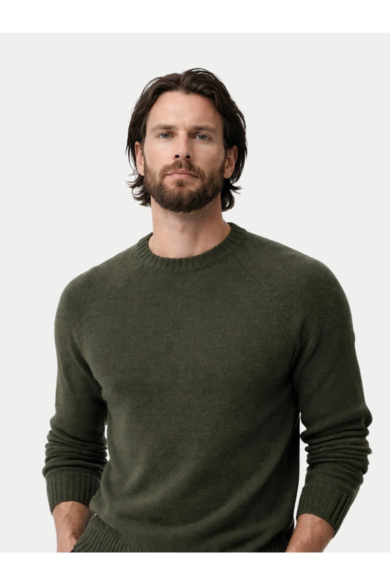 Cashmere Raglan Sweater, Alternate, color, capulet olive