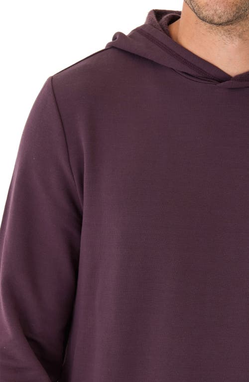 THREADS 4 THOUGHT THREADS 4 THOUGHT THREADS FOR THOUGHT DEX FEATHERWEIGHT PULLOVER HOODIE