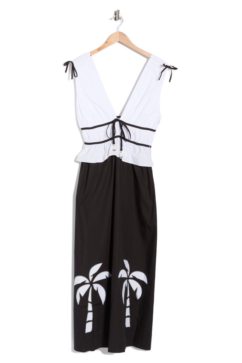 Colorblock Sleeveless Maxi Dress, Alternate, color, BLACK/WHITE