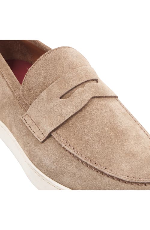 Bruno Magli Prato Penny Loafer In Taupe Suede
