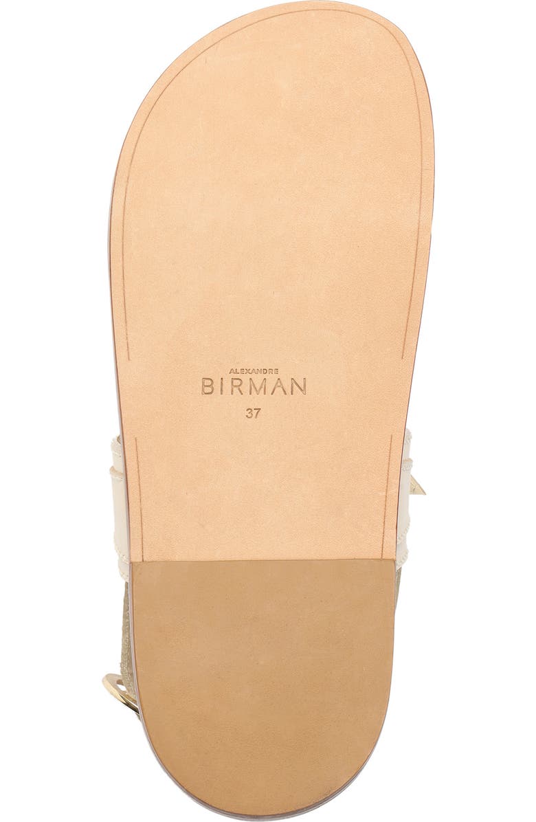 Alexandre Birman Clarita Sport Sandal, Alternate, color,