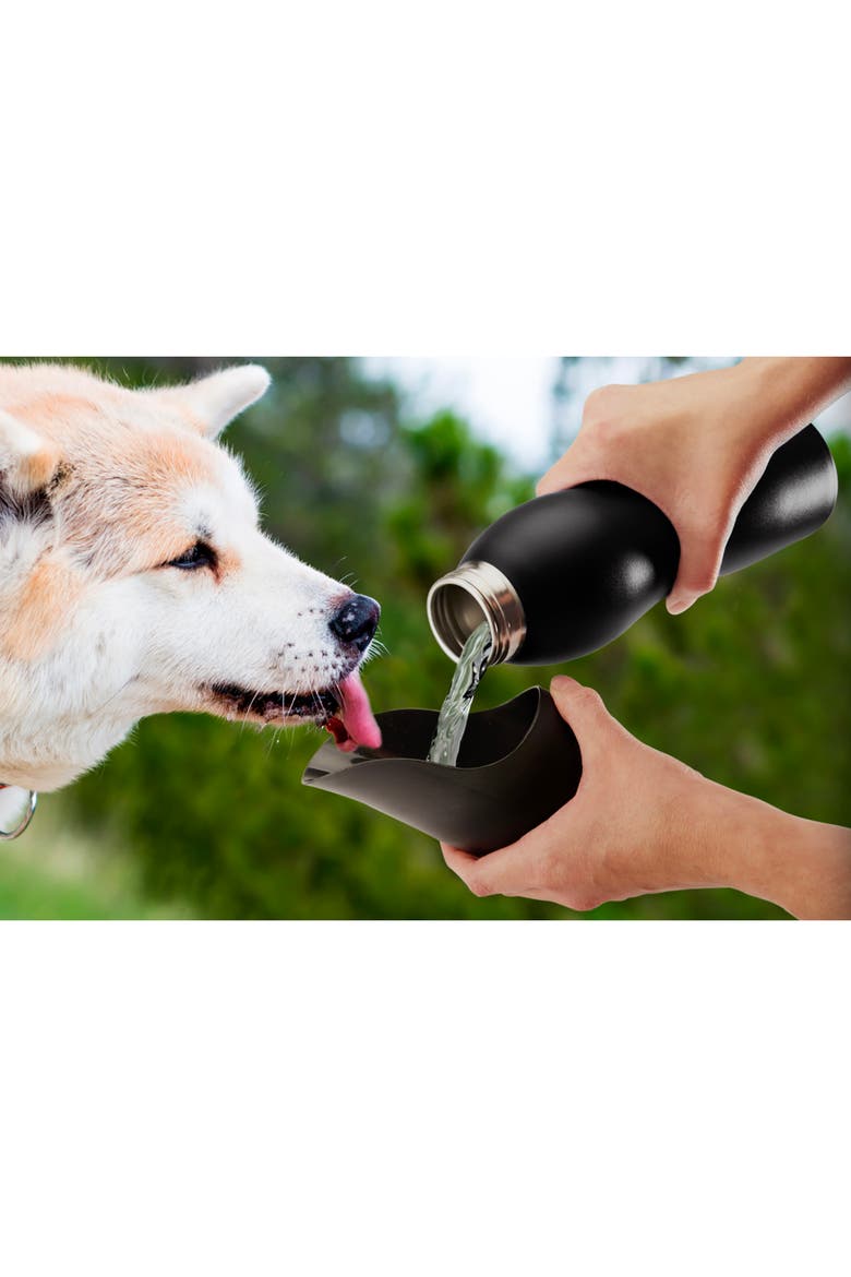 Stainless Steel Dog Water Bottle, Alternate, color, Black