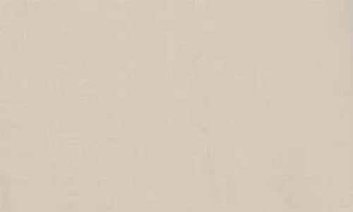 Allsaints Hawthorne Solid Stretch Cotton Button-up Shirt In Neutral