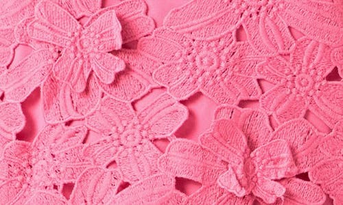Shop Endless Rose Floral Lace Sweatshirt In Fuchsia