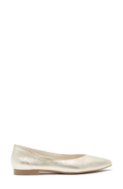 Paul Green Tia Pointed Flat
