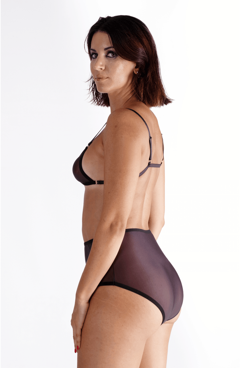 LECHERY<sup>®</sup> Lustrous Sheer High-waisted Brief, Alternate, color, Black