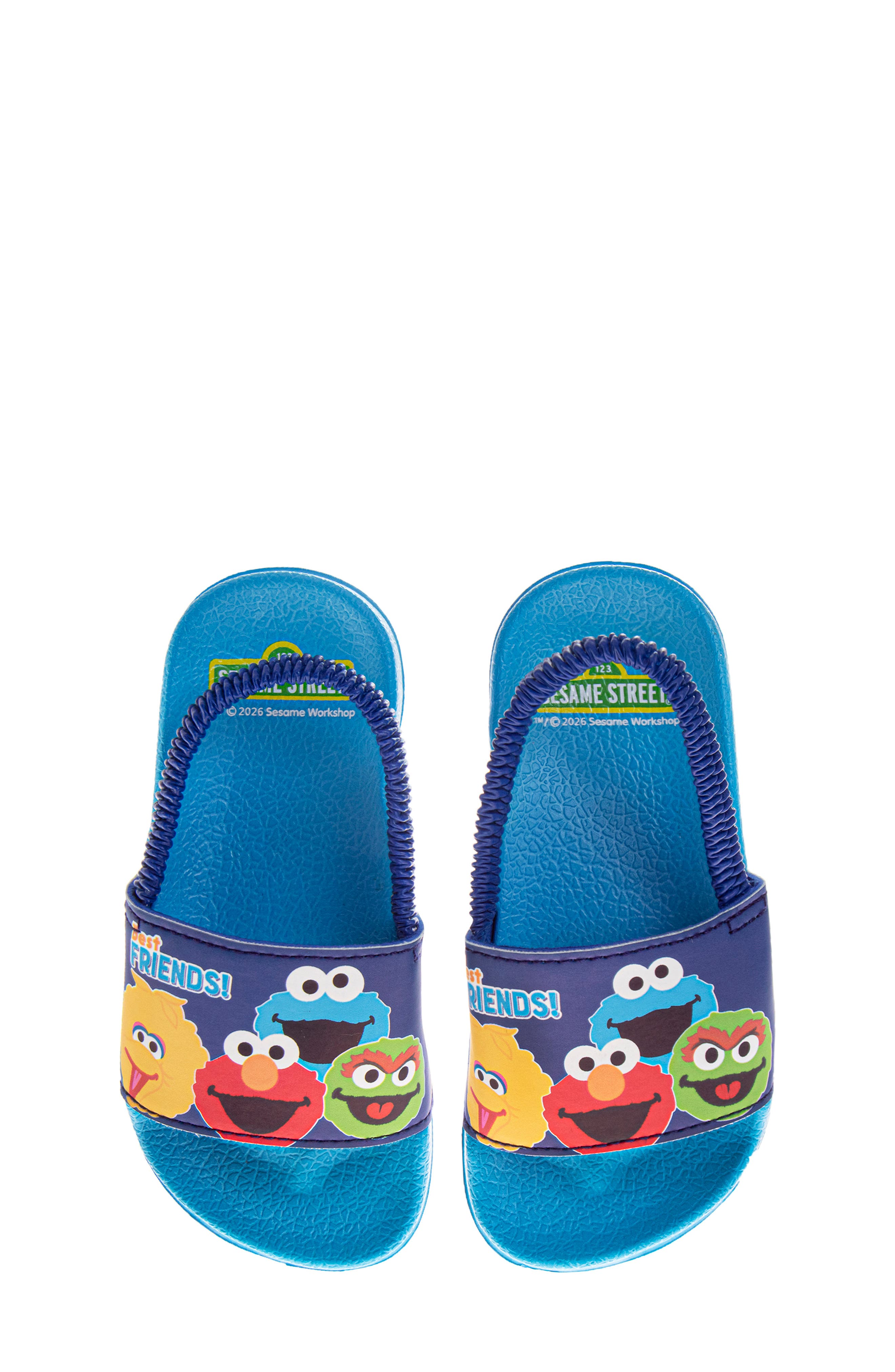 Kids' Sesame Street Slingback Sandal, Alternate, color, BLUE