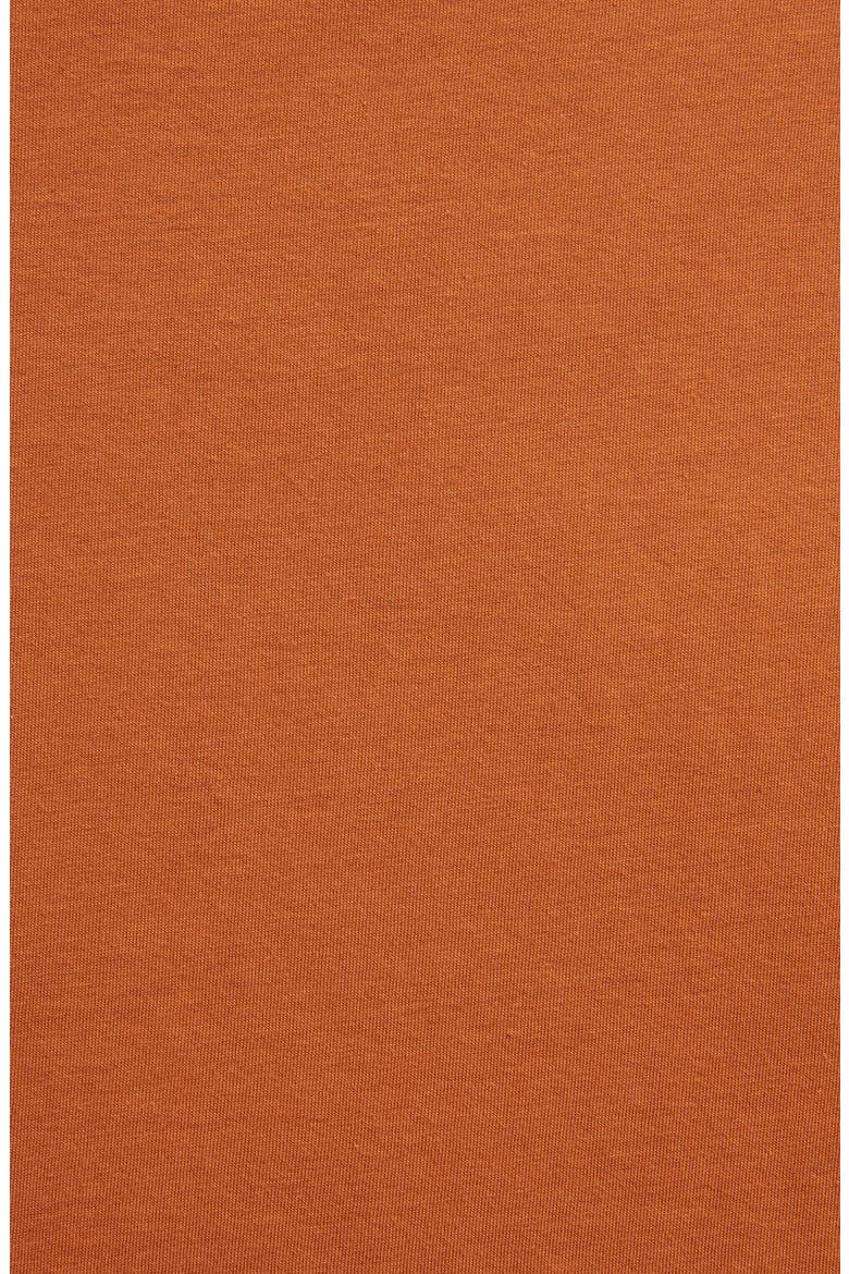 The Square Mock Neck Tee, Alternate, color, AUTUMN LEAF