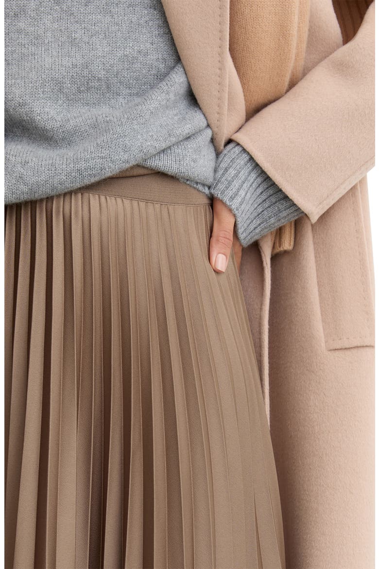 Seren Pleated Maxi Skirt, Alternate, color, MOCHA BROWN