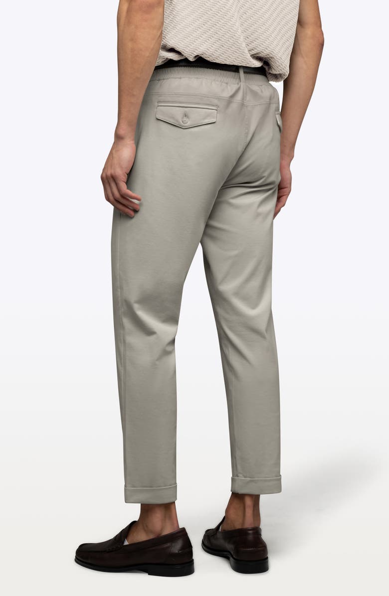 Cuts Soho Pleated Stretch Trousers, Alternate, color, Mourning Dove