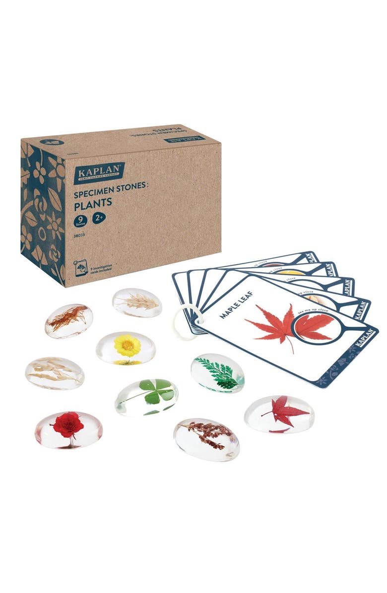 Kaplan Early Learning Company Specimen Stones Plants - 9 Pieces, Main, color, Clear
